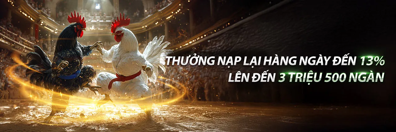 Hình ảnh giới thiệu VZ888 nhà cái, nền tảng giải trí trực tuyến hàng đầu